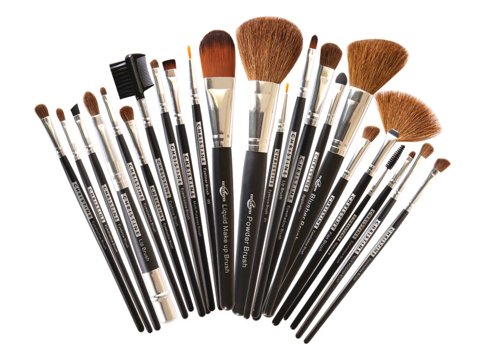 Professional Brushes Set
