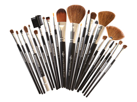 Professional Brushes Set