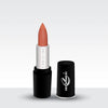 Lipstick - 501