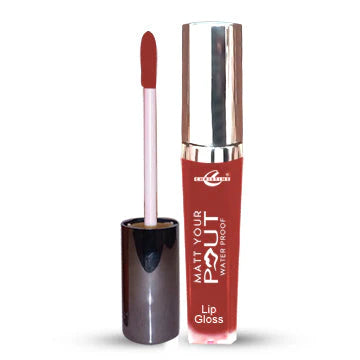 Matte Lip Gloss Shade - 66