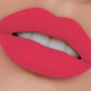 Matte Lip Gloss Shade - 58